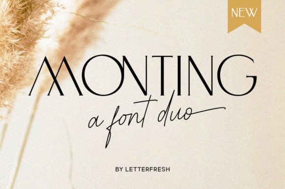 Monting Duo: A Modern Serif & Sans for Elegant Design
